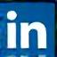 Icona LinkedIn
